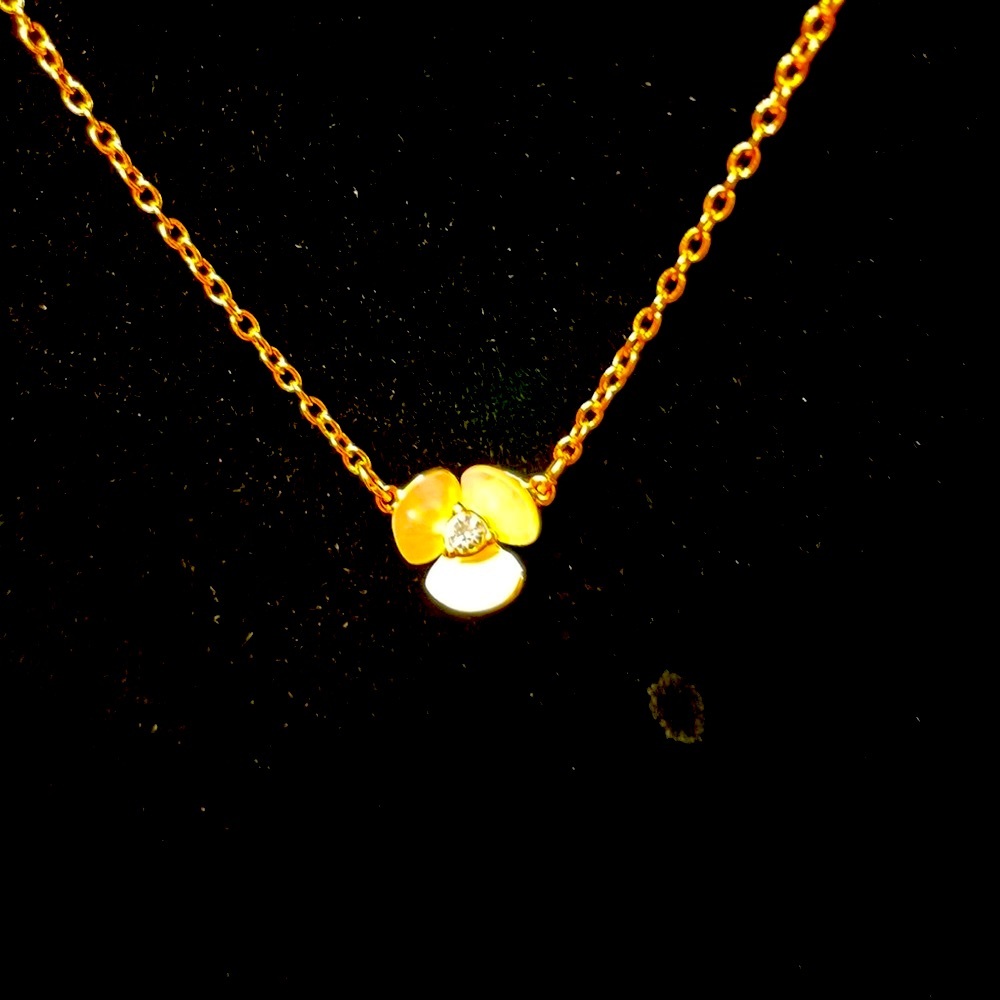 Kate Spade necklace nib 18 inches long